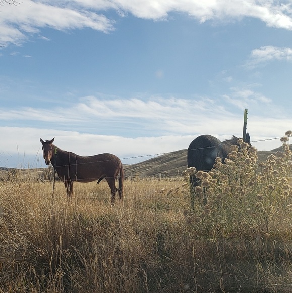 Meet your Posher, Katherine - Picture 1 of 1